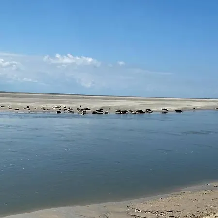 Hébergement de vacances A La Petite Maison