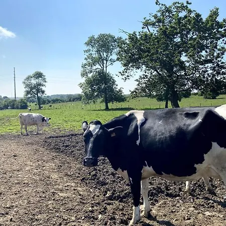 A La Petite Maison Vakantiehuis *