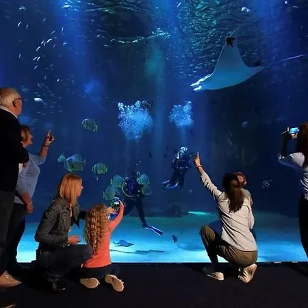 Hébergement de vacances A La Petite Maison