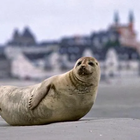 Hébergement de vacances A La Petite Maison